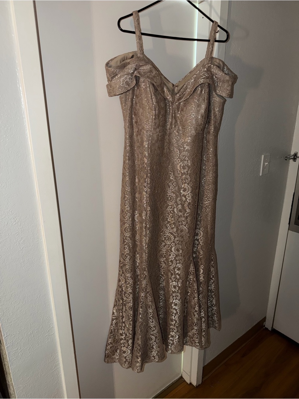 R&M Richards Metallic Taupe/Gold  Lace Off-Shoulder Maxi Dress 16W